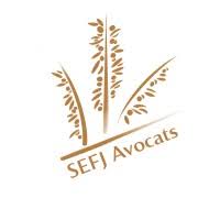 Logo partenaire